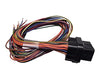 Link ECU A Loom short (0LA) 101-0002