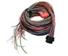 Link ECU A Loom Long (5LA) 101-0008
