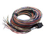 Link ECU B Loom Long (5LB) 101-0009