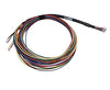 Link ECU XS Expansion Loom (XSL) 101-0106